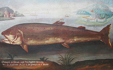 Fischtafel von 1711