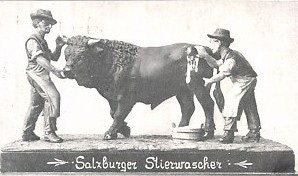 Salzburger Stierwascher